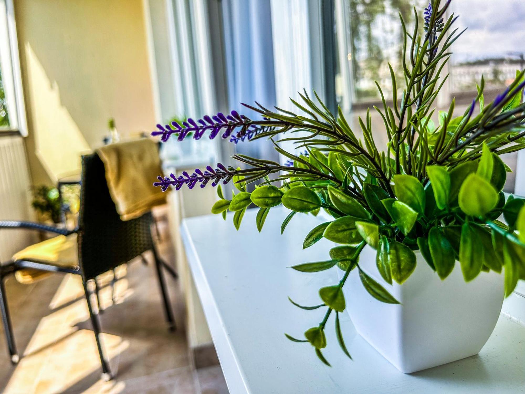 Villa Blue City Apartman Szekszárd Exteriör bild